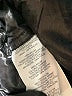 J.Crew 100% Nylon Black Vest Size XS - photo 7