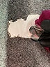 Talbots Purple Cardigan Size 1X - photo 8