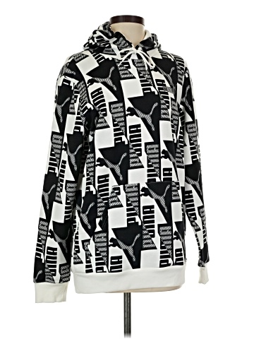 Puma Pullover Hoodie (view 1)