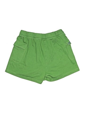 Stoic Board Shorts (view 2)