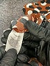 Halogen Animal Print Brown Long Sleeve Blouse Size XL - photo 8