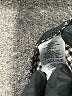 Ann Taylor LOFT Plaid Green Tan Casual Pants Size 12 - photo 7