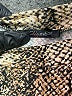 Shinestar Animal Print Tan Cocktail Dress Size S - photo 7