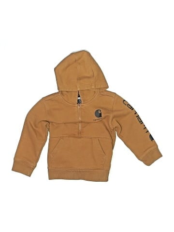 Carhartt Pullover Hoodie (view 1)