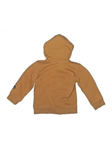 Carhartt Pullover Hoodie (view 2)