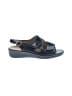 Assorted Brands Solid Black Sandals Size EU 40 - photo 1