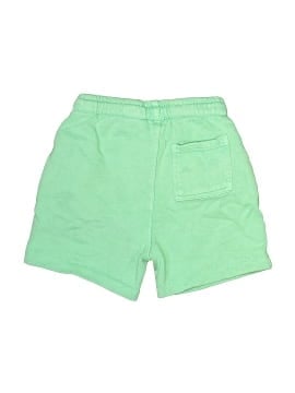 Zara Shorts (view 2)