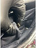 Miu Miu Tweed Black Sequin Clutch One size - photo 5