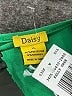 Daisy Green Bodysuit Size XL - photo 3