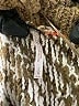 Free People Houndstooth Brown Pullover Sweater Size L - photo 6