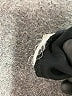 Lands' End Black 3/4 Sleeve Top Size M (petite) - photo 8