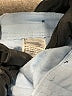 Style&Co Polka Dots Blue Shorts Size 16 - photo 4