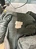 Chico's Gray Dress Pants Size Sm Petite (0.5) - photo 7