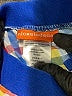 Nickelodeon Checkered-gingham Blue Board Shorts 18-24 MO / 24 MO - photo 3