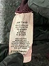 Madison Burgundy Bodysuit Size M - photo 4