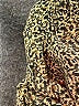 Assorted Brands 100% Silk Animal Print Tan Jacket Size L - photo 7