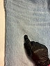 Madewell Blue Jeans Size 27 waist - photo 3