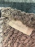 Altar'd State Tweed Gray Turtleneck Sweater Size S - photo 7