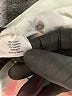 St. John's Bay Solid Ivory Casual Pants Size 8 - photo 8
