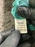 Komarov 100% Polyester Teal Kimono Size Sm (1) - photo 8