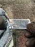 Cat & Jack Blue Jeans Size 16 - photo 4