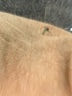 Van Heusen Tan Turtleneck Sweater Size L - photo 7