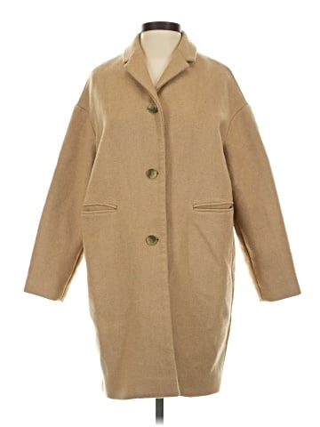 Everlane Wool Coat (view 1)