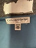 Catherine Malandrino 100% Polyester Blue Short Sleeve Top Size 3X - photo 7