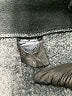 Unbranded Black Jacket Size M - photo 6