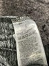 Gap Fit Tweed Gray Active Pants Size L - photo 8