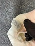 Theory Ivory Sleeveless Button-Down Shirt Size M - photo 8
