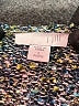 J.Jill Tweed Blue Pullover Sweater Size Lg Petite - photo 7
