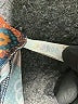Lularoe Print Blue Leggings Size 1X (Tall & Curvy) - photo 4