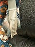 Lularoe Print Blue Leggings Size 1X (Tall & Curvy) - photo 5
