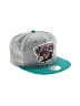 Nostalgia Teal Baseball Cap One size - photo 1