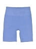 Calvin Klein Solid Blue Athletic Shorts Size S (estimated) - photo 1
