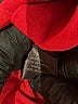 The Limited Red Blazer Size XS - photo 7