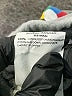 Stella McCartney 100% Cotton Graphic Gray Shorts Size 2T - photo 4