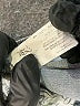 Rock & Republic Blue Jeans Size 8 - photo 9
