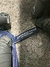 American Eagle Outfitters Blue Active Pants Size S - photo 7
