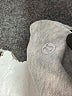 Lululemon Athletica Gray Sweatshirt Size 8 - photo 7
