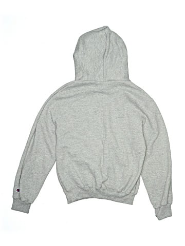 Champion Sweatshirt (view 2)