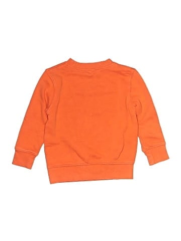 Falls Creek Sweatshirt (view 2)