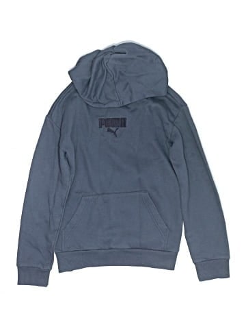 Puma Pullover Hoodie (view 1)