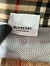 Burberry 100% Polyester Tan Board Shorts Size 10 - photo 12