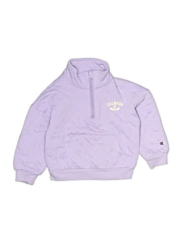 Champion Sweatshirt (view 1)