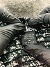 Deb 100% Polyester Print Black Casual Pants Size 1X - photo 8