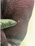 Burberry Plaid Purple Scarf One size - photo 4