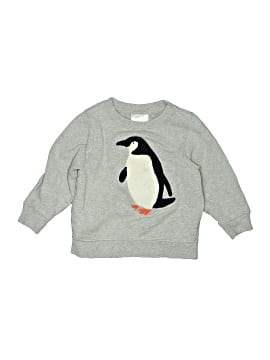Hanna Andersson Sweatshirt (view 1)