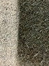 Free People Gray Sleeveless Top Size 2 - photo 9